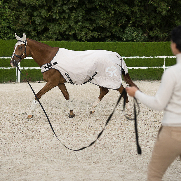 Walker Sheet "Cornwell" (1200D) Walker Sheet "Cornwell" (1200D)