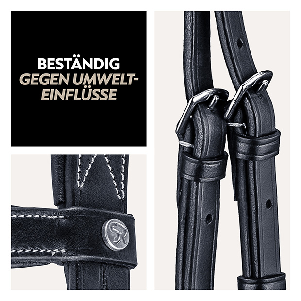 English combined bridle "London" with reins