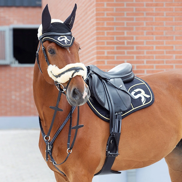 jumping saddle pad sr line black gold under saddle on horse in full sr equipment black golden sr line jumping saddle pad with breathable air mesh spine by sunride under saddle on a horse with matching fly net in sr line and sunride leather equipment