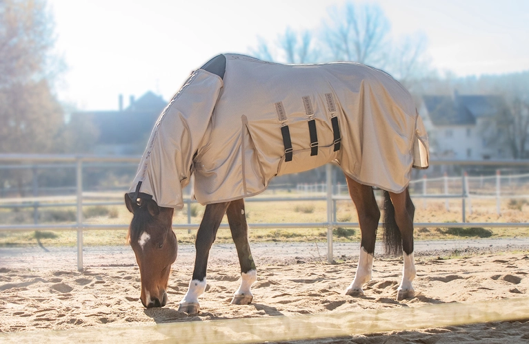Fliegendecke mit Bauchlatz und festem Halsteil Kuba Ein Pferd steht auf dem Paddock mit der Kuba Fliegendecke