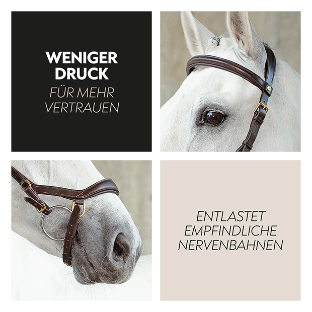 English combined bridle "York" with reins English combined bridle "York" with reins