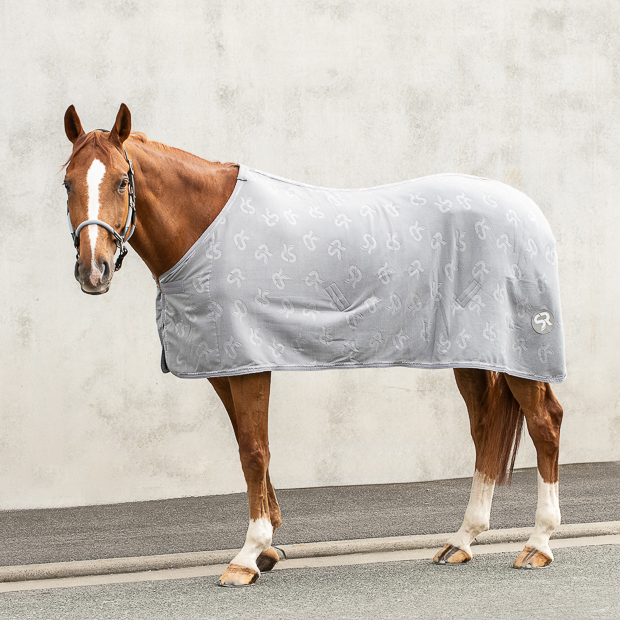 sunride abschwitzdecke wellington grau auf pferd pferd mit abschwitzdecke wellington grau von sunride