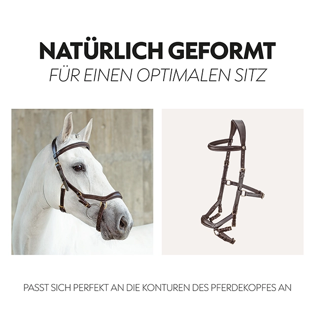 English combined bridle "York" with reins