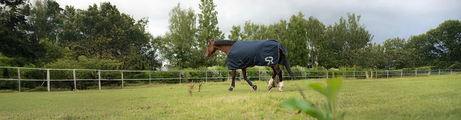 Winterdecke Stockholm  Ein Pferd steht auf der Koppel mit Winterdecke  Stockholm in blau