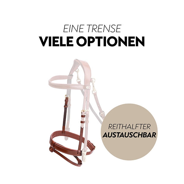 Englisch kombinierte Trense "Berlin" mit Zügel