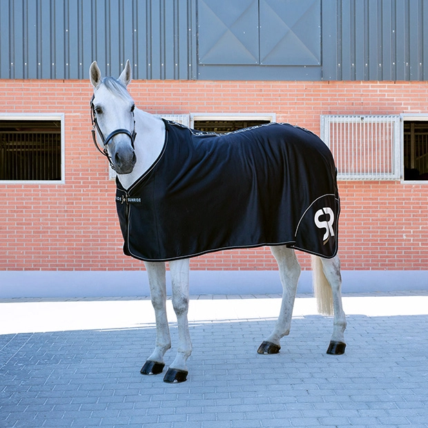Softshell Cooler Rug "Boston"