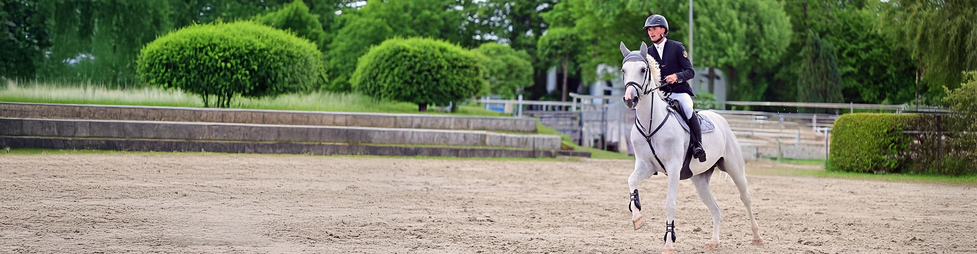 Ein Reiter galoppiert mit seinem Pferd auf einem Platz im Hintergrund sind Bäume zu sehen