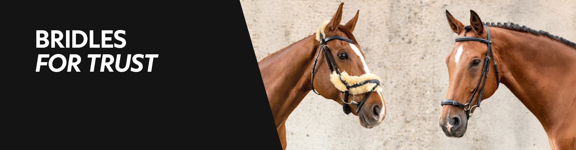 Bridles Two horses stand facing each other wearing bridles one of the horses has a bridle with light sheepskin padding on the left the text reads Bridles for Trust