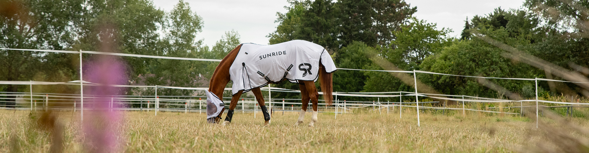 Fly Masks