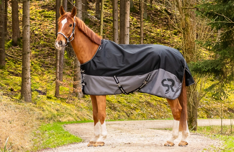 Winterdecke Helsinki Ein Pferd steht auf einem Waldweg und trägt eine schwarz graue Decke im Hintergrund sind Bäume zu sehen