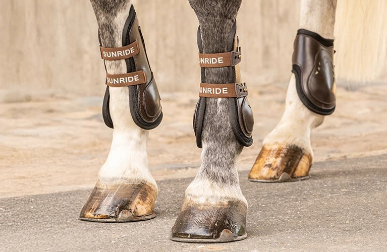 Mehrere Pferdebeine mit braunen Gamaschen und Streichkappen auf Asphalt vor einer hellen Mauer