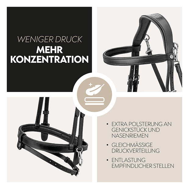 English combined bridle "Berlin" with reins English combined bridle "Berlin" with reins