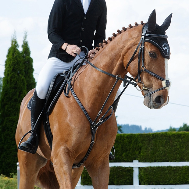 Breastplate "Windsor" with martingale Breastplate "Windsor" with martingale