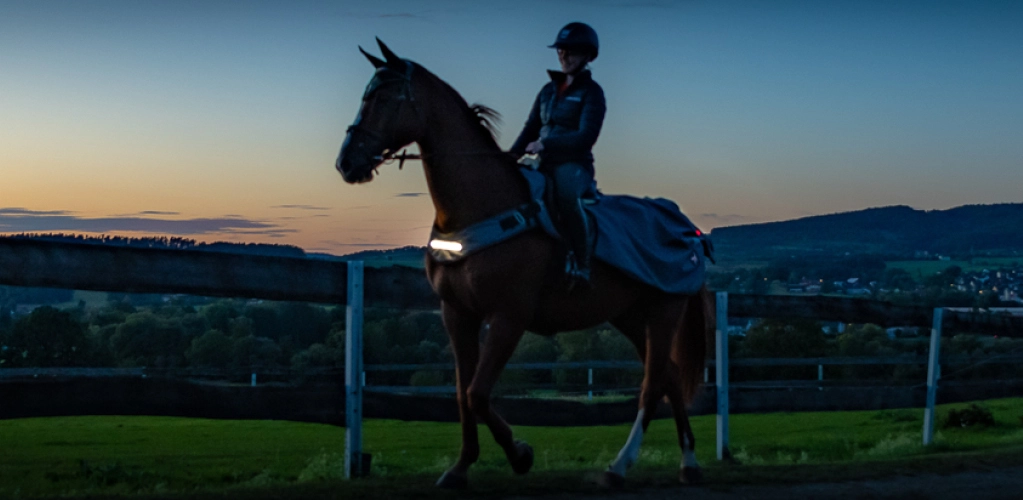 LED Ausreitdecke New York in grau Ein Pferd und Reiter mit der New York LED Ausreitdecke in der Daemmerung