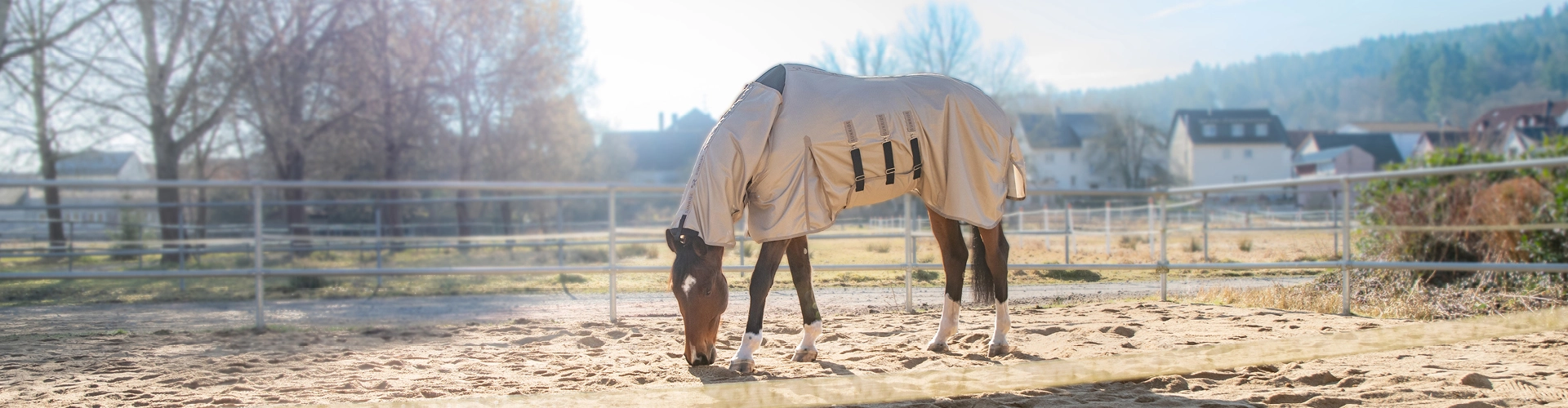 Fliegendecke mit Bauchlatz und festem Halsteil Kuba Ein Pferd steht auf dem Paddock mit der Kuba Fliegendecke