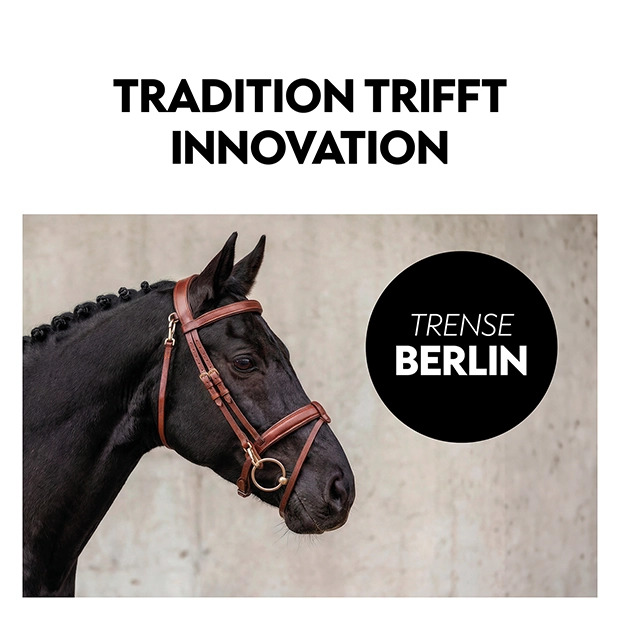 Englisch kombinierte Trense "Berlin" mit Zügel