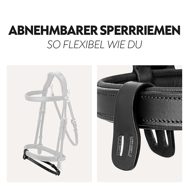 English combined bridle "Berlin" with reins English combined bridle "Berlin" with reins