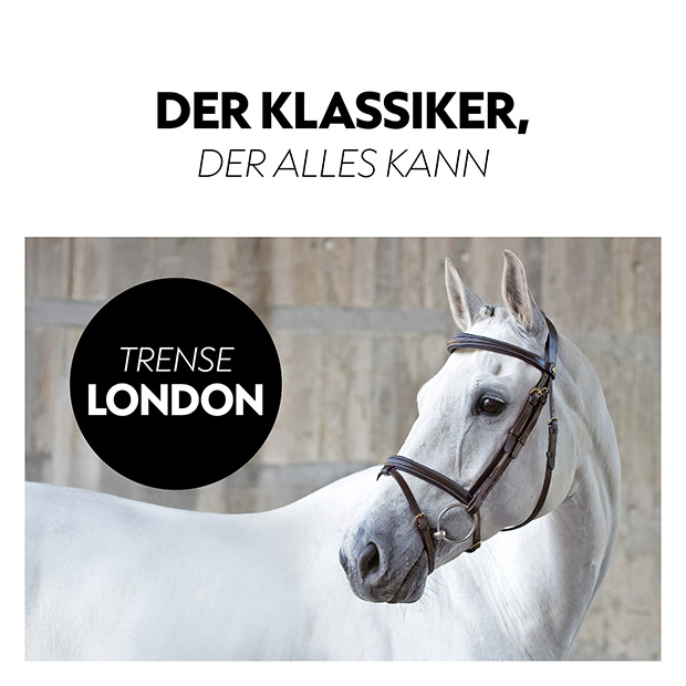 English combined bridle "London" with reins English combined bridle "London" with reins