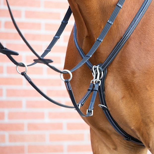 elastic breastplate and martingal windsor black on horse windsor black breastplate with martingal and elastic straps by sunride on a horse