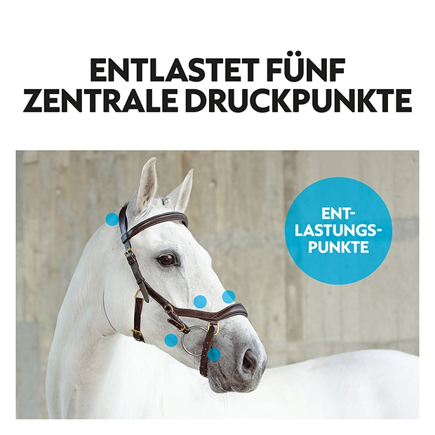 English combined bridle "York" with reins