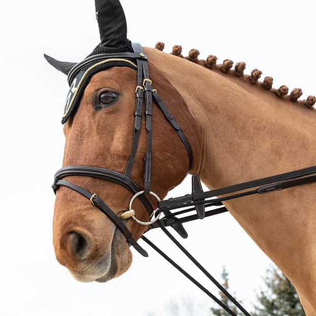 Draw Reins Draw Reins