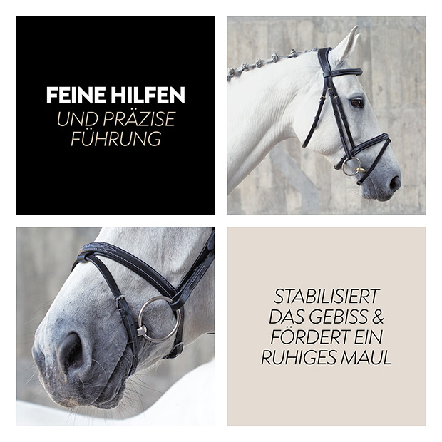 English combined bridle "London" with reins