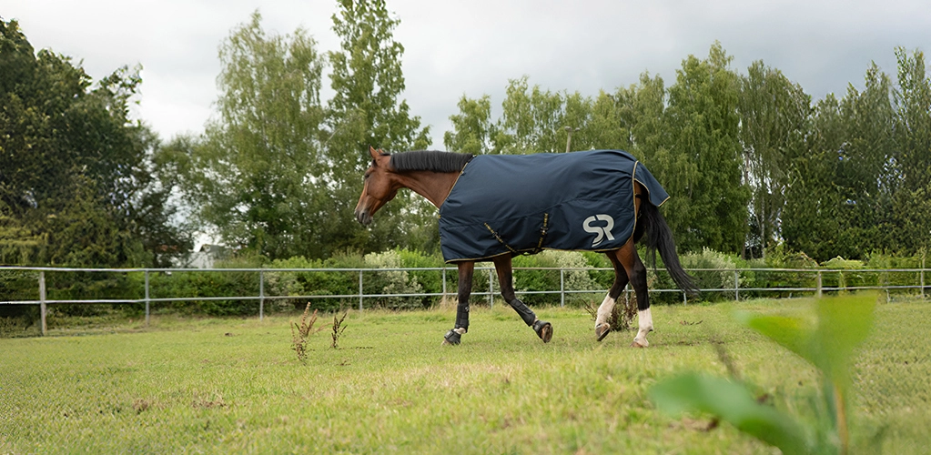 Winterdecke Stockholm  Ein Pferd steht auf der Koppel mit Winterdecke  Stockholm in blau