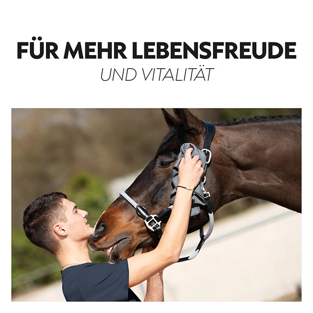 3in1 Cooling Rug "Cool Down” 3in1 Cooling Rug "Cool Down”