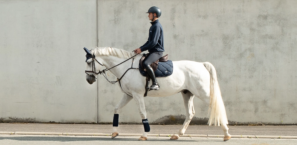 Springschabracke Ein Reiter sitzt auf einem weißen Pferd mit blauer Schabracke, passender Abschwitzdecke und Fliegenohren und reitet an einer hellen Betonwand entlang