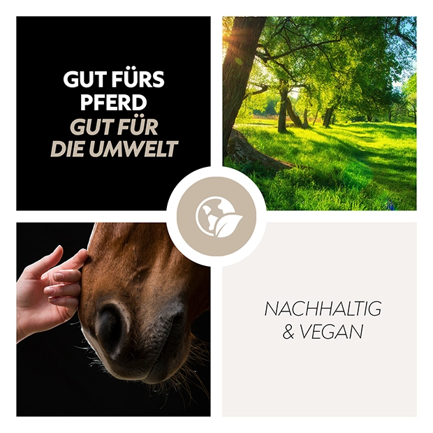 Eine Hand streichelt das Gesicht eines Pferdes, umgeben von Texten über Nachhaltigkeit und Umweltfreundlichkeit in einem hellen, natürlichen Umfeld.