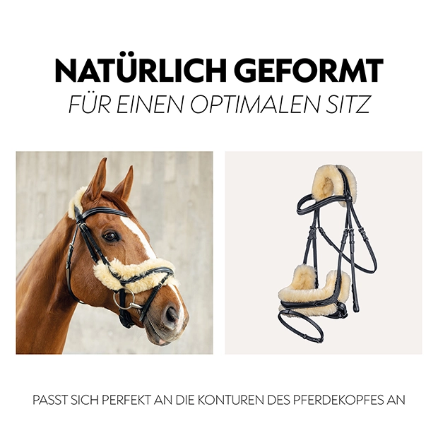 Schwedische Trense "Oxford" mit Zügel