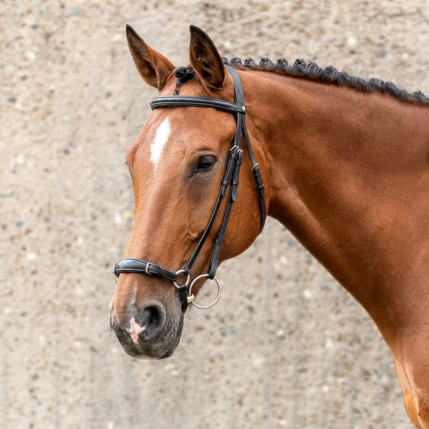 Hanoverian Bridle – Effect, Use, and Special Features Hanoverian Bridle – Effect, Use, and Special Features