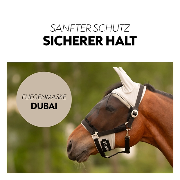 Eine graue Fliegenmaske für Pferde mit einem stabilen Halfter und einem sanften Schutz, die auf einem Pferd im Freien getragen wird.