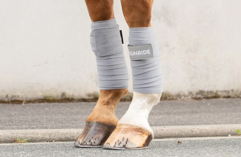 Zwei Pferdebeine mit den Fleece Bandagen Wellington von SUNRIDE in grau vor einer grauen Wand 