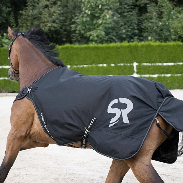 Ein Pferd wird longiert und trägt eine schwarze  Longierdecke von Sunride