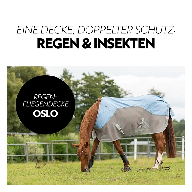 Regen-Fliegendecke 0g "Oslo" (1200D)