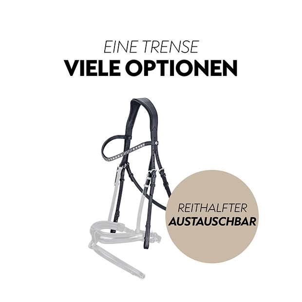 Schwedische Trense "Aspen" mit Zügel