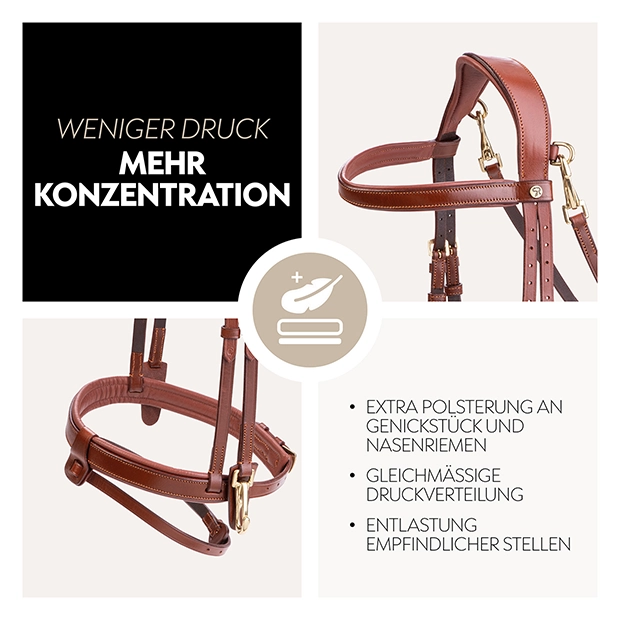 Englisch kombinierte Trense "Berlin" mit Zügel