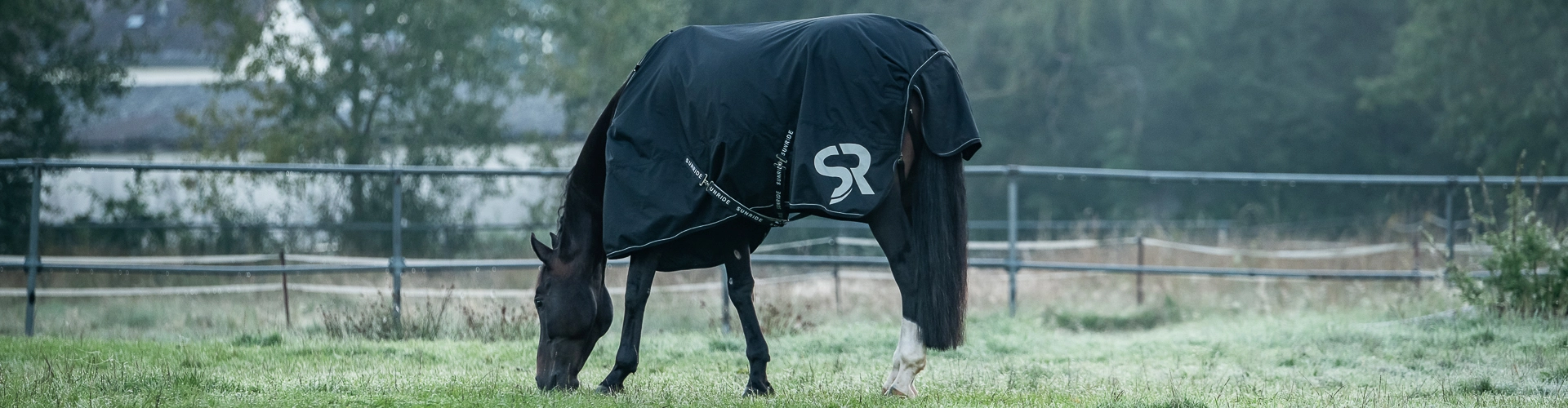 Regendecke Ein Pferd steht bei kälte auf der Koppel und es trägt die Regendecke Dublin
