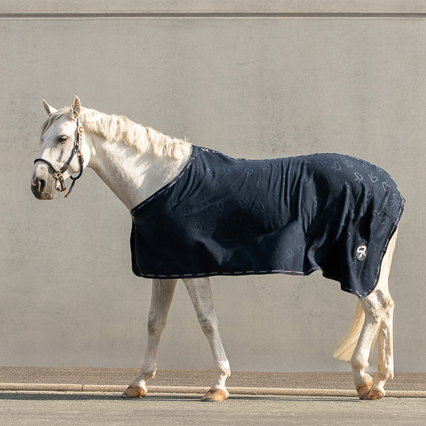 wellington line cooler rug blue on horse cooler rug wellington blue and leather halter denver brown on a horse