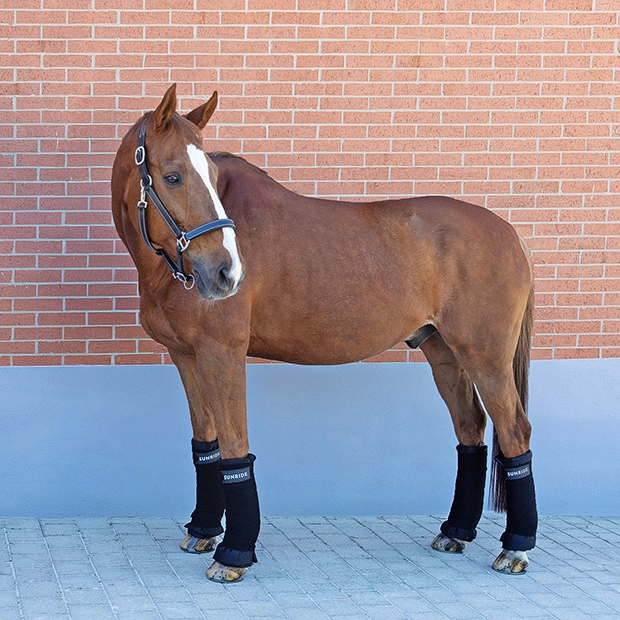 schwarze stallbandagen mit reflektierendem sunride schriftzug im vierer set am pferd mit unterlagen 