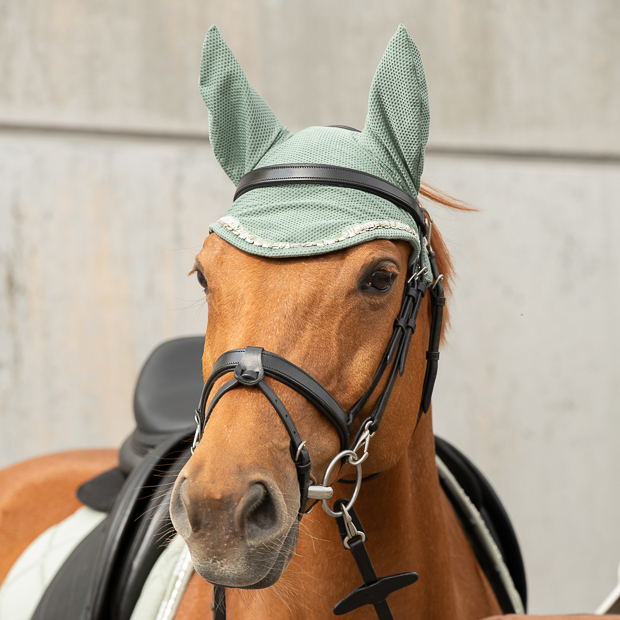 ear net and fly hood rounded olive with gem stones wellington line and bridle berlin black on a horse black berlin bridle with rounded elastic ear net and fly hood olive with gem stones wellington line by sunride on the horse