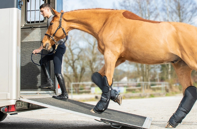 Transportgamaschen Ein Pferd mit Transportgamaschen läuft eine Rampe hinauf in einen Pferdeanhänger eine Reiterin führt es hinein
