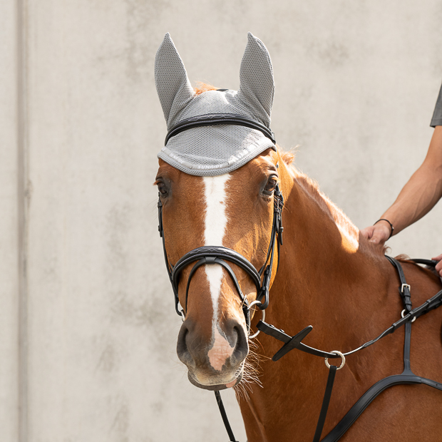 elastische fliegenhaube grau am pferd elastische fliegenhaube aus der wellington linie grau am pferd