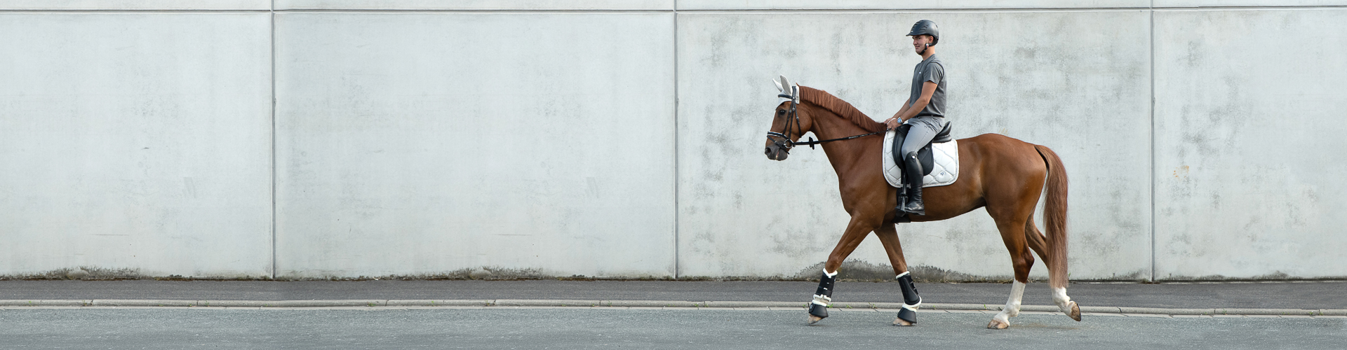 Dressage Saddle Pads