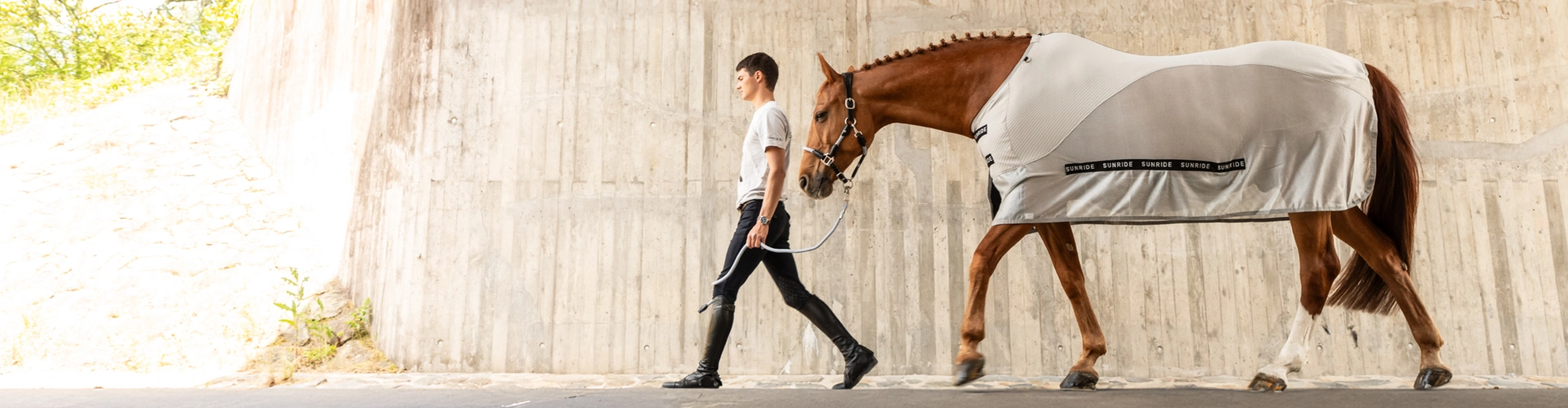 Sommerdecke Ein Reiter führt ein Pferd an der Hand Das Pferd trägt eine Sommerdecke von Sunride in hellgrau