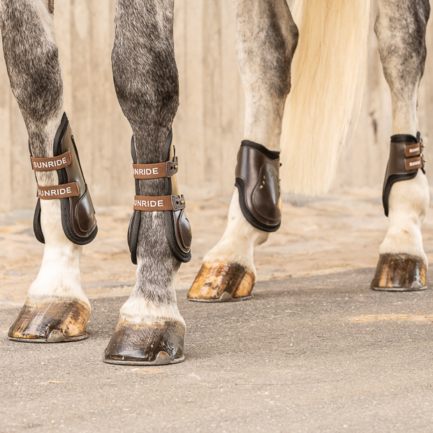 set of leather jumping boots brown and high leather fetlock boots brown on horse brown leather jumping boots with protection layer and elastic straps and high brown leather fetlock boots in a set by sunride on a horse