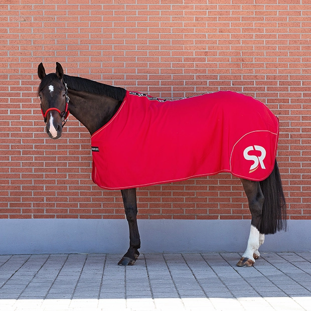Ein Pferd steht vor einer roten Ziegelwand und trägt eine rote Abschwitzdecke Boston von Sunride sowie ein rotes Halfter Denver von Sunride