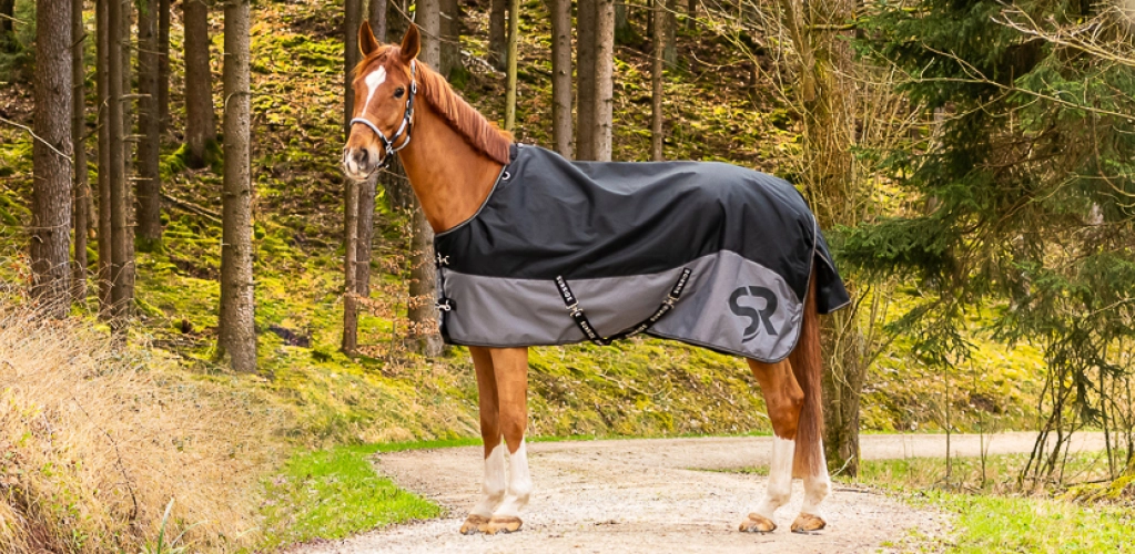 Winterdecke Helsinki Ein Pferd steht auf einem Waldweg und trägt eine schwarz graue Decke im Hintergrund sind Bäume zu sehen