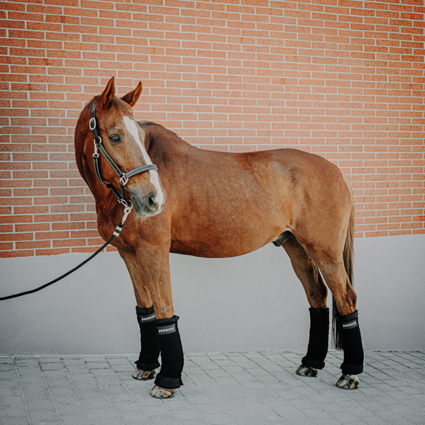 black stable bandages with reflectors and layers in set set of 4 black elastic stable bandages with reflectors and layers by sunride on a horse